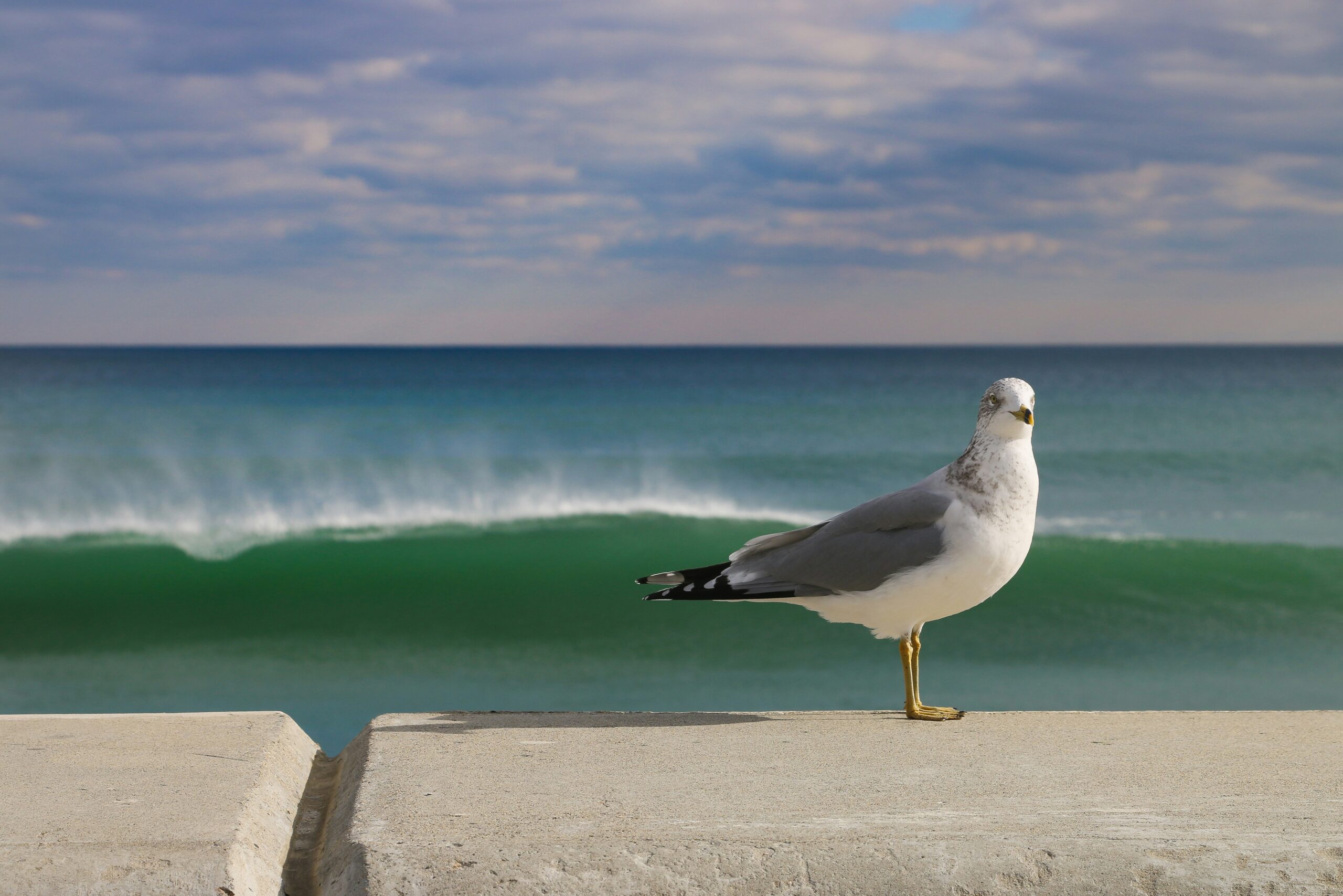 Time to Move On? How to Sell Your Hamptons Property with Confidence